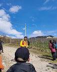 Tasting of Organic Mountains Wines with Vineyard and Cellar Tour - Wine Tasting - Touraround