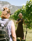 Teroldego Vineyard Tour with 3 Wines Tasting in Mezzocorona - Touraround