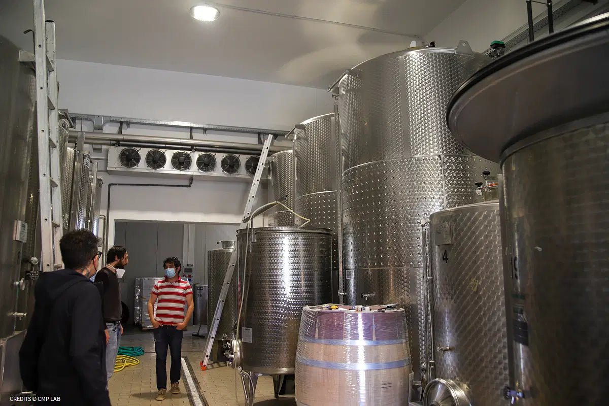 Tour and Tasting of 3 Lugana Wines - Wine Tasting - Touraround