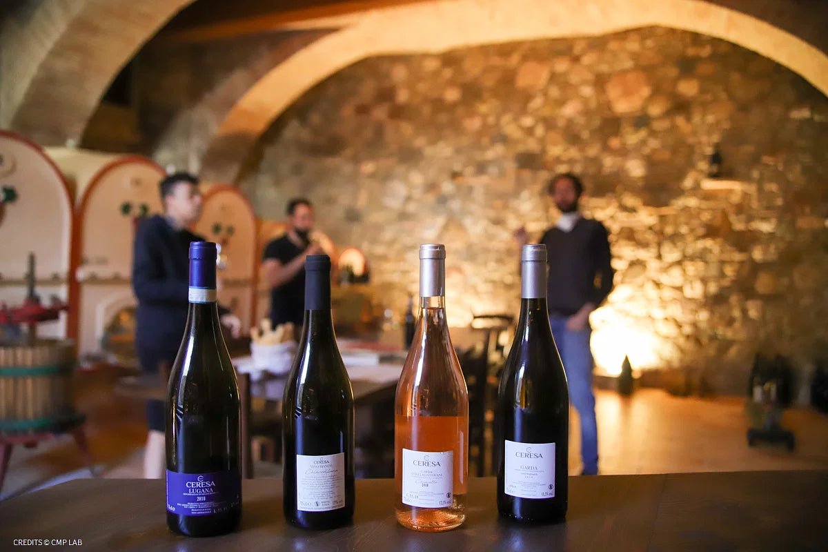 Tour and Tasting of 3 Lugana Wines - Wine Tasting - Touraround