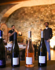 Tour and Tasting of 3 Lugana Wines - Wine Tasting - Touraround