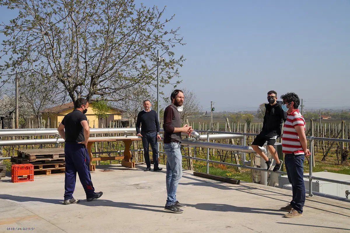 Tour and Tasting of 3 Lugana Wines - Wine Tasting - Touraround
