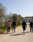Tour and Tasting of 3 Lugana Wines - Wine Tasting - Touraround