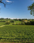 Tour and tasting of 3 organic wines near Custoza - Wine Tasting - Touraround