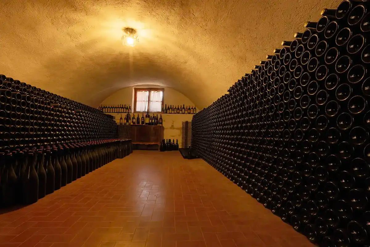 Tour and tasting of 5 Garda wines and olive oil in Valeggio - Wine Tasting - Touraround