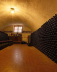 Tour and tasting of 5 Garda wines and olive oil in Valeggio - Wine Tasting - Touraround