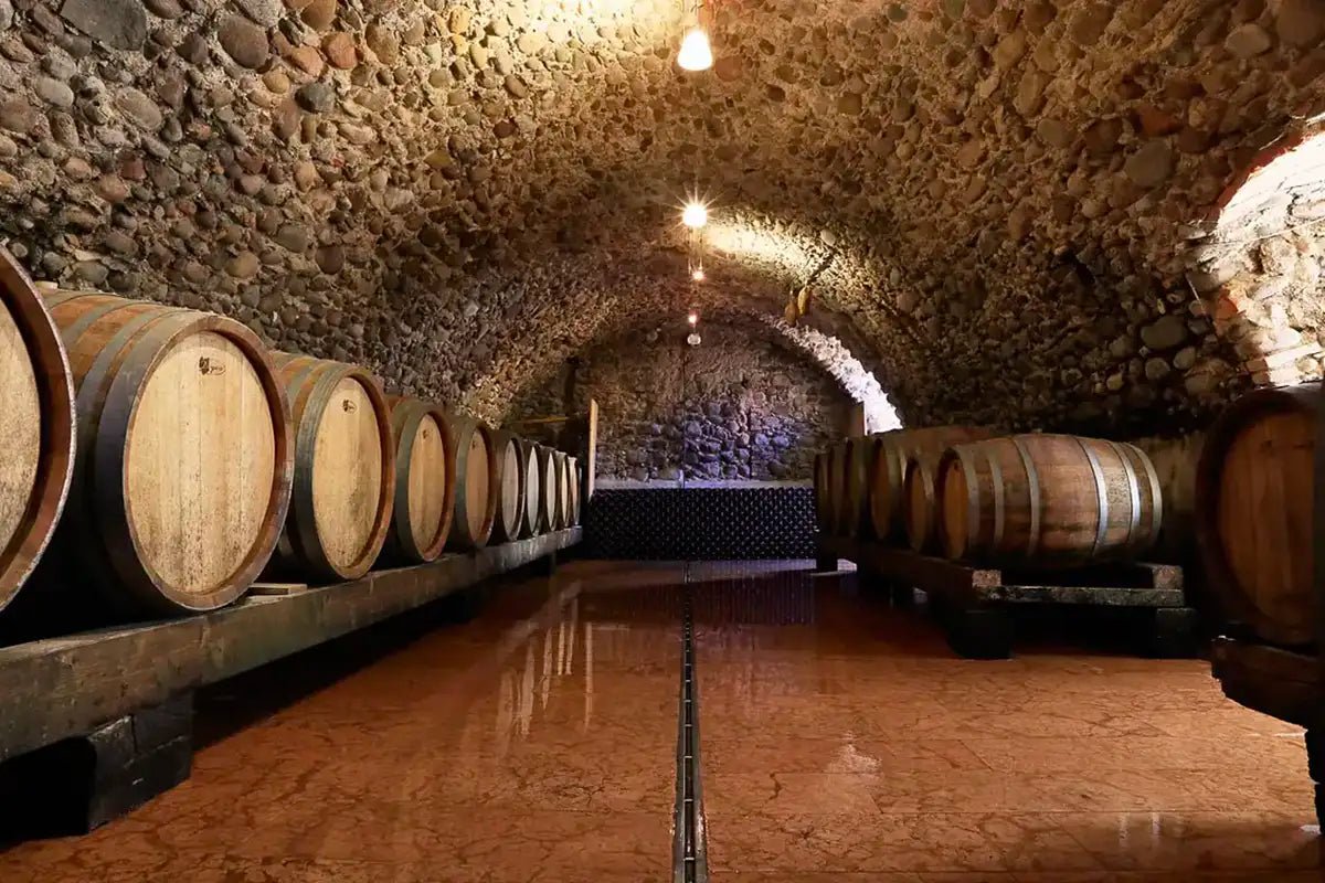 Tour and tasting of 5 Garda wines and olive oil in Valeggio - Wine Tasting - Touraround