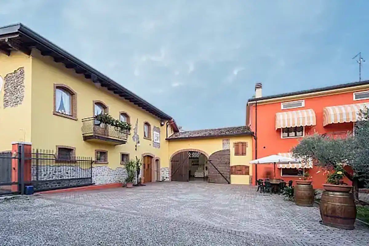 Tour and tasting of 5 Garda wines and olive oil in Valeggio - Wine Tasting - Touraround