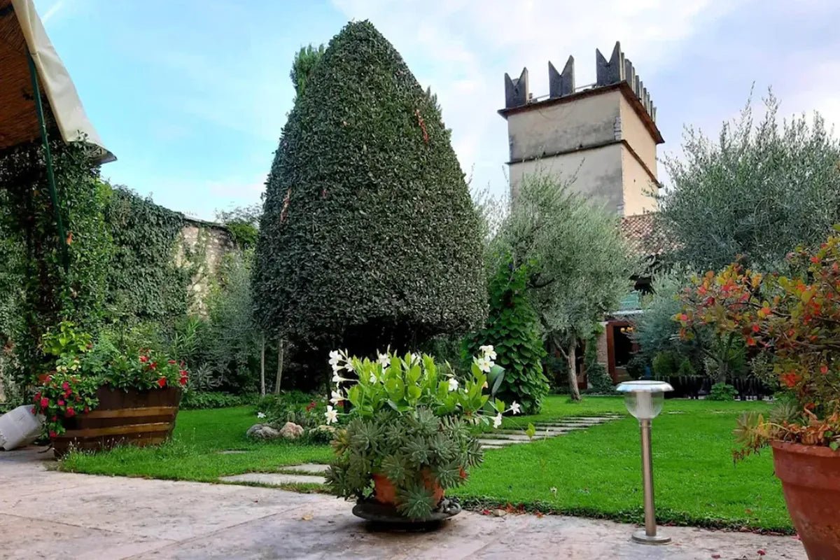 Tour and tasting of 5 Valpolicella Vintages Wines near Fumane - Wine Tasting - Touraround