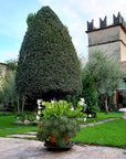 Tour and tasting of 5 Valpolicella Vintages Wines near Fumane - Wine Tasting - Touraround
