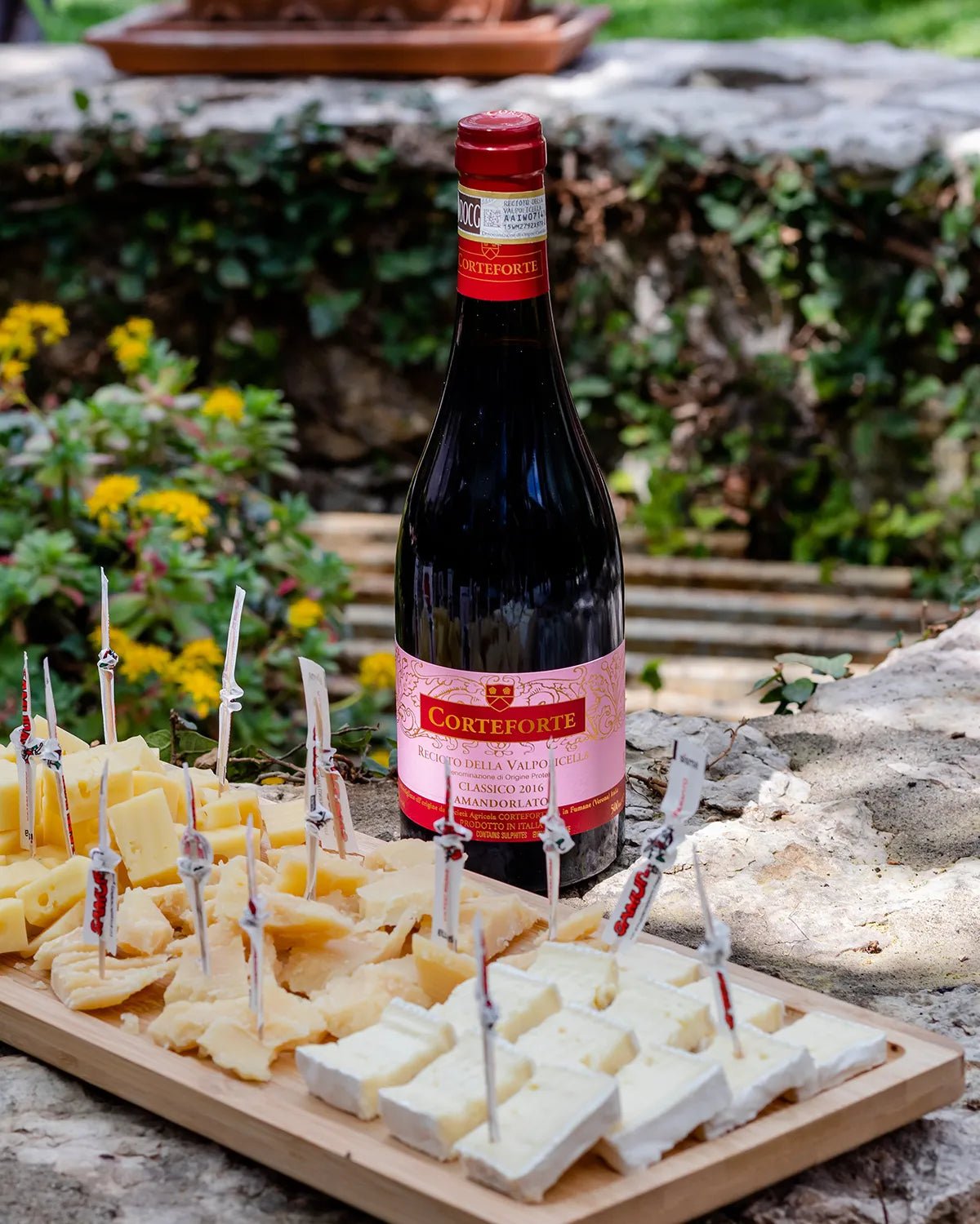 Tour and tasting of 5 Valpolicella Vintages Wines near Fumane - Wine Tasting - Touraround