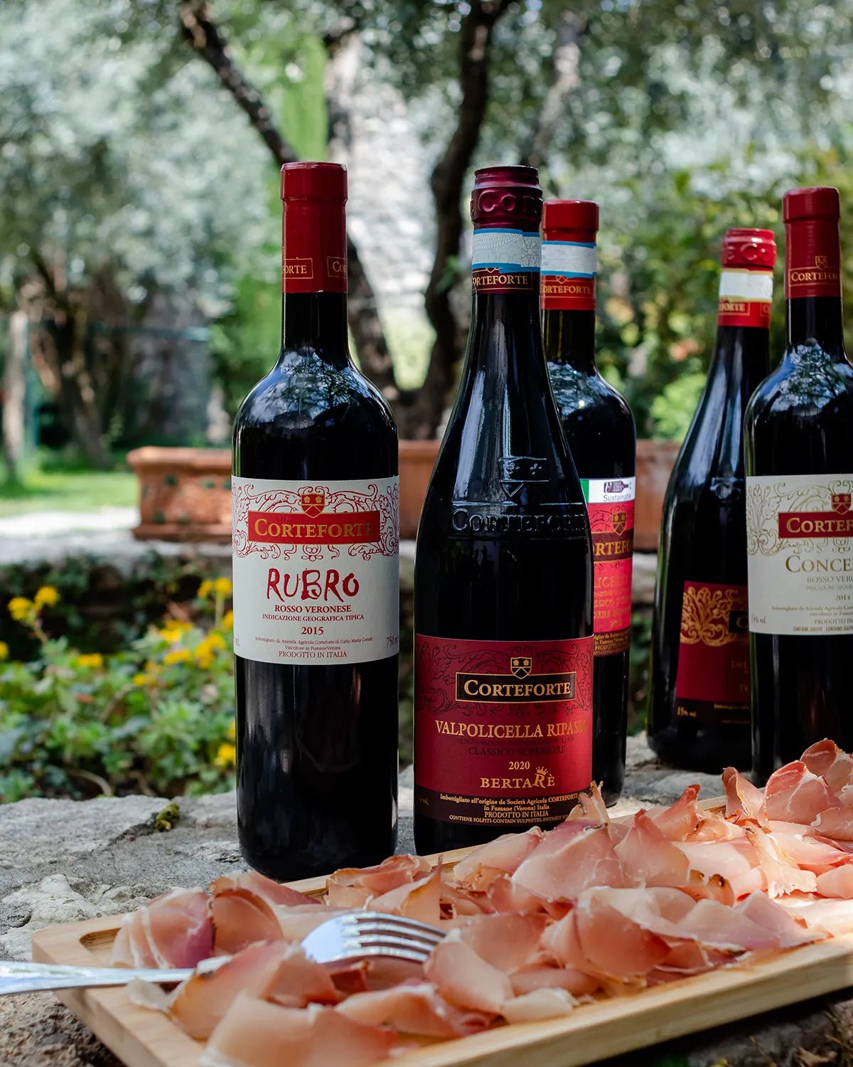 Tour and tasting of 5 Valpolicella Vintages Wines near Fumane - Wine Tasting - Touraround