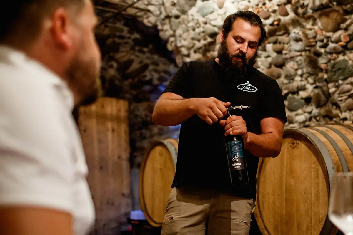 Tour and tasting of barrel aged - wines in Valeggio - Wine Tasting - Touraround