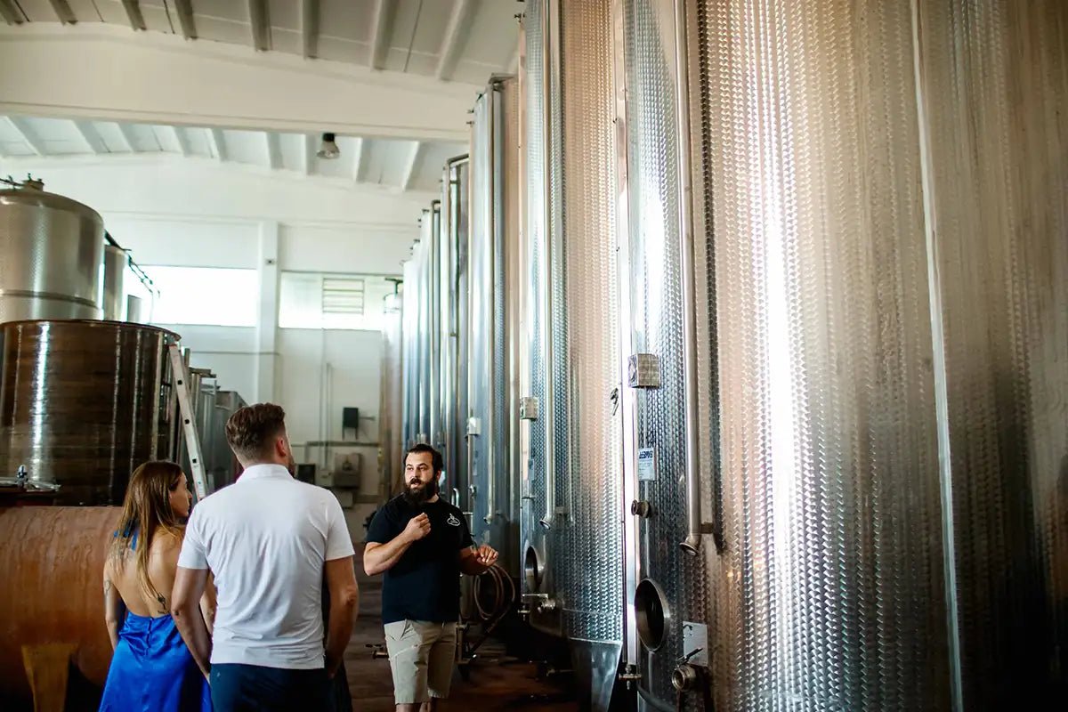 Tour and tasting of barrel aged - wines in Valeggio - Wine Tasting - Touraround