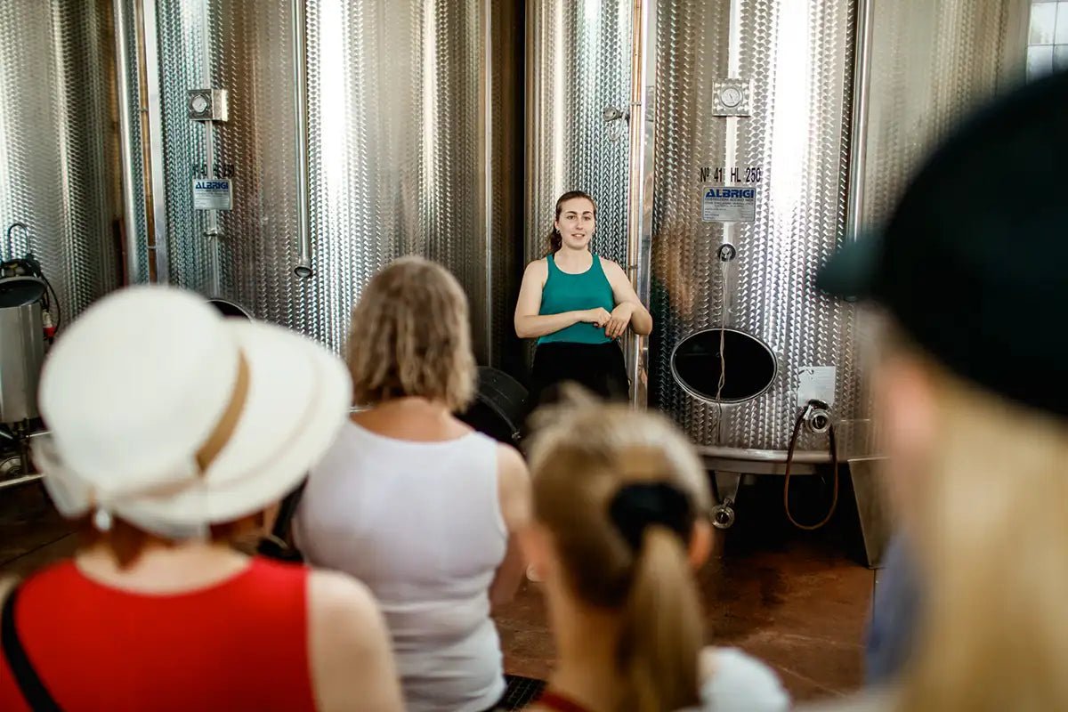 Tour and tasting of local young Wines in Valeggio - Wine Tasting - Touraround