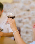 Tour and tasting of local young Wines in Valeggio - Wine Tasting - Touraround