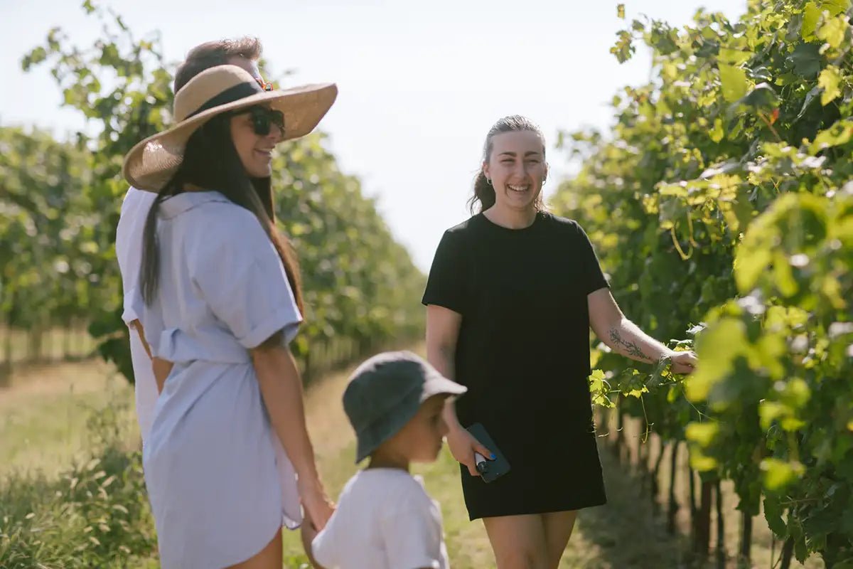 Tour and tasting of local young Wines in Valeggio - Wine Tasting - Touraround