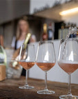 Tour and Tasting of Organic Wines in Lazise - Wine Tasting - Touraround