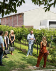 Tour and Tasting of Organic Wines in Lazise - Wine Tasting - Touraround