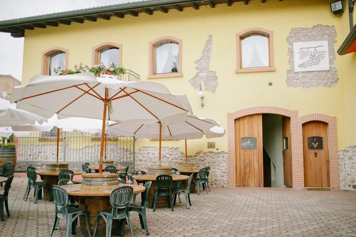 Tour and tasting of Sparkling local Wines in Valeggio - Wine Tasting - Touraround