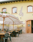 Tour and tasting of Sparkling local Wines in Valeggio - Wine Tasting - Touraround