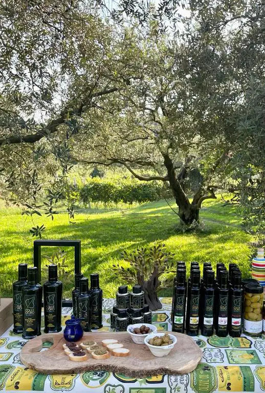 Lake Garda Olive Oil Tour & Tasting with Panoramic Views - Touraround