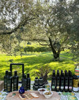 Lake Garda Olive Oil Tour & Tasting with Panoramic Views - Touraround