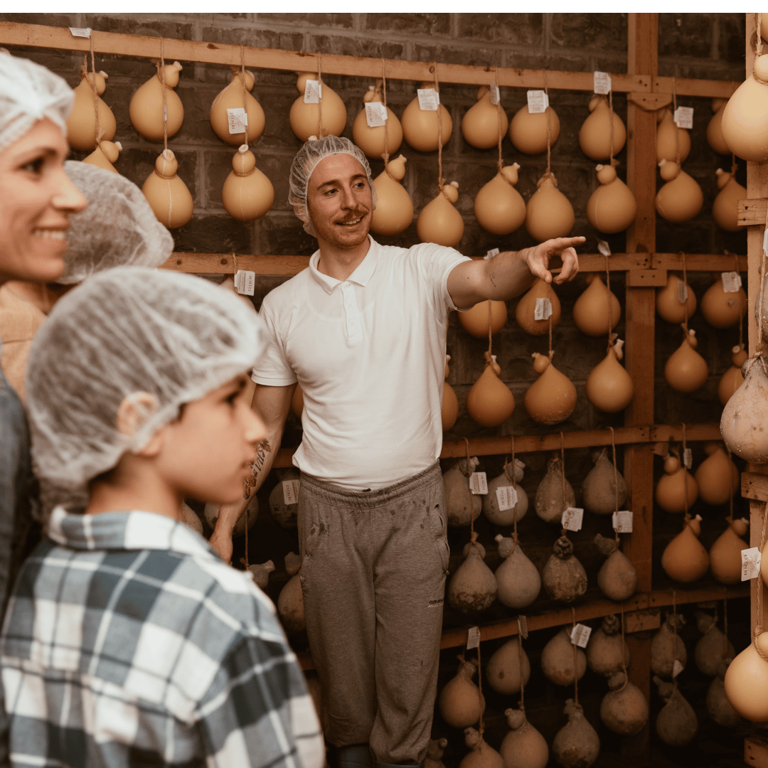 Traditional Cheese Factory Visit with Tasting in Isernia Countryside - Cheese Tour - Touraround