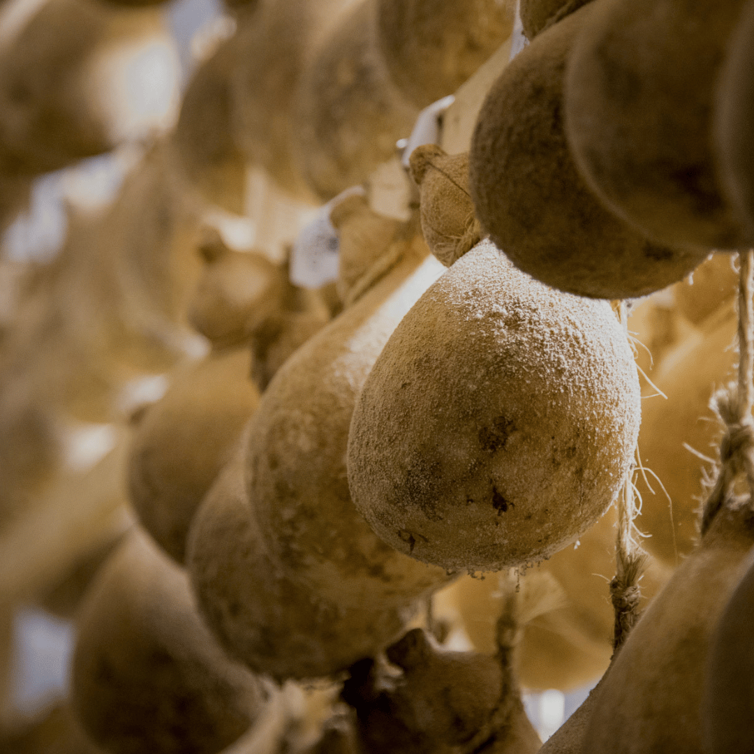 Traditional Cheese Factory Visit with Tasting in Isernia Countryside - Cheese Tour - Touraround