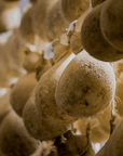 Traditional Cheese Factory Visit with Tasting in Isernia Countryside - Cheese Tour - Touraround