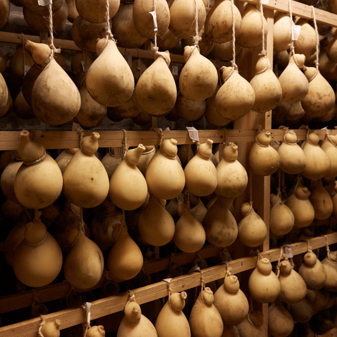 Traditional Cheese Factory Visit with Tasting in Isernia Countryside - Cheese Tour - Touraround