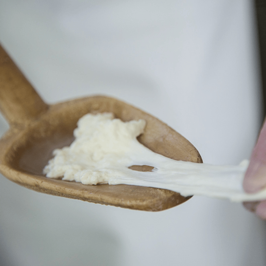 Traditional Cheese Factory Visit with Tasting in Isernia Countryside - Cheese Tour - Touraround