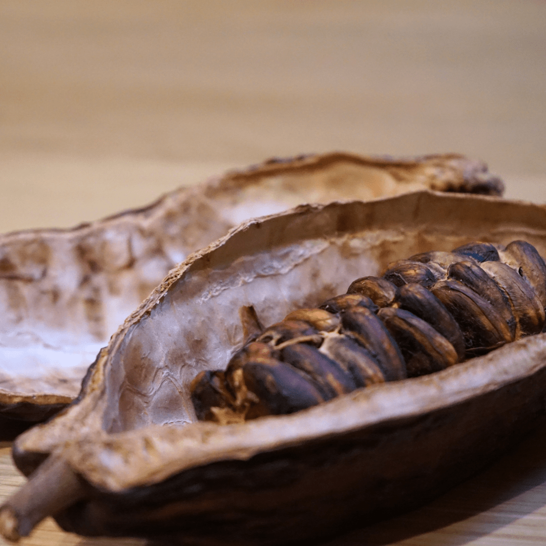 Turin: Guided Food Tour with Chocolate & Wine Tasting - Food Tour - Touraround