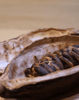 Turin: Guided Food Tour with Chocolate & Wine Tasting - Food Tour - Touraround