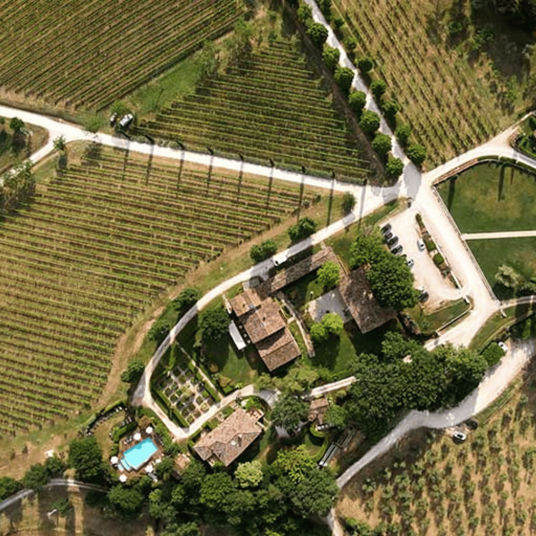 Urbino: Boutique Winery Visit & 5 Organic Wine Tastings - Wine Tasting - Touraround