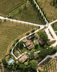 Urbino: Boutique Winery Visit & 5 Organic Wine Tastings - Wine Tasting - Touraround