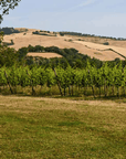 Urbino: Boutique Winery Visit & 5 Organic Wine Tastings - Wine Tasting - Touraround