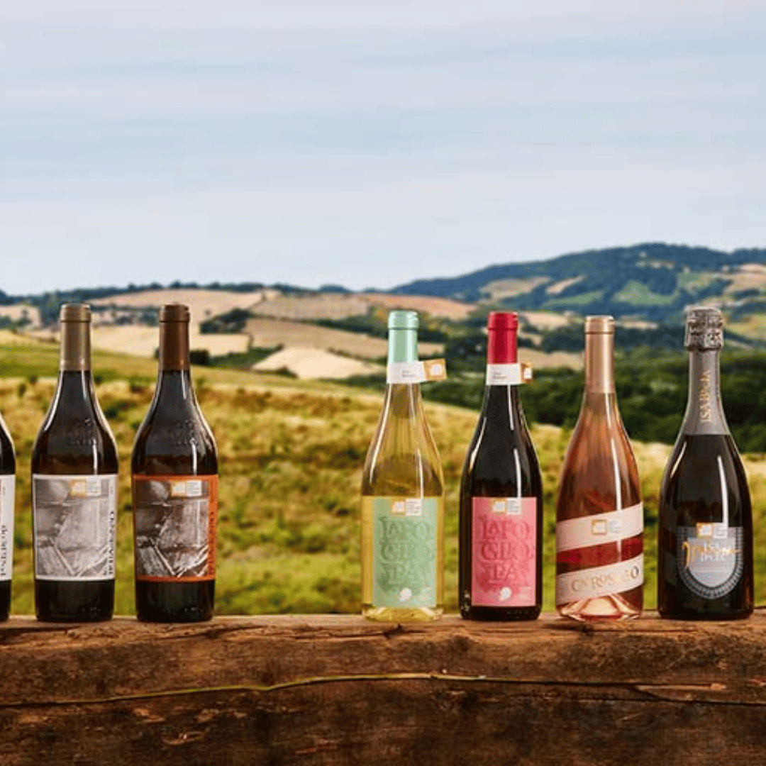 Urbino: Boutique Winery Visit & 5 Organic Wine Tastings - Wine Tasting - Touraround
