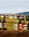 Urbino: Boutique Winery Visit & 5 Organic Wine Tastings - Wine Tasting - Touraround