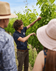 Urbino: Boutique Winery Visit & 5 Organic Wine Tastings - Wine Tasting - Touraround