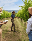 Urbino: Boutique Winery Visit & 5 Organic Wine Tastings - Wine Tasting - Touraround