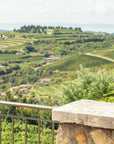 Valpolicella Natural Wines Tasting with Food Pairings - Wine Tasting - Touraround