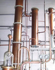 Vermouth & Spirits Distillery Visit & Tasting near Turin - Distillery Visit - Touraround