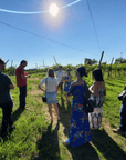 Vicenza: Vineyard Walk & Wine Tasting in the Berici Hills - Wine Tasting - Touraround