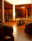 Vicenza: Vineyard Walk & Wine Tasting in the Berici Hills - Wine Tasting - Touraround