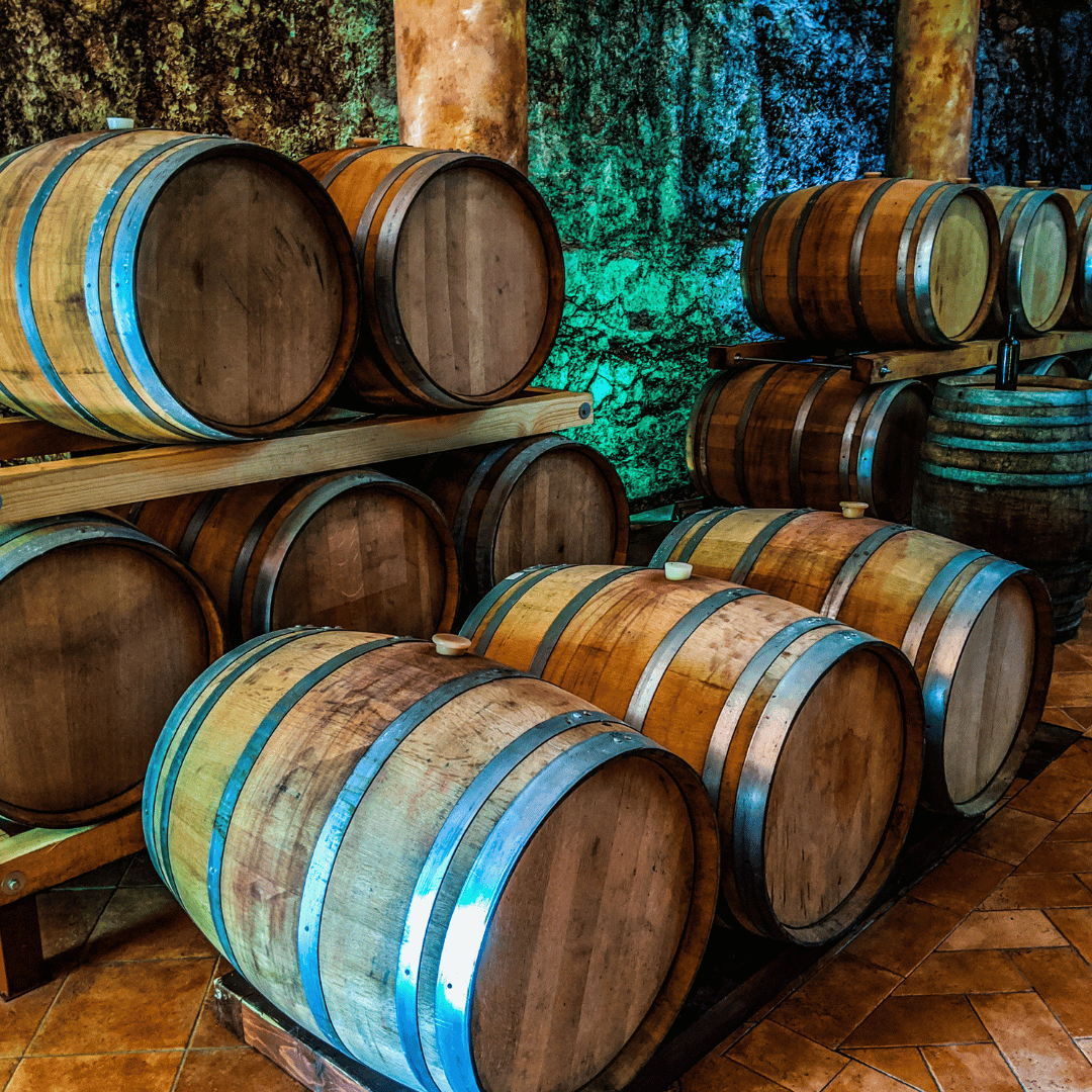Vicenza: Vineyard Walk & Wine Tasting in the Berici Hills - Wine Tasting - Touraround