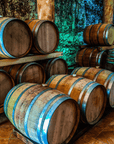 Vicenza: Vineyard Walk & Wine Tasting in the Berici Hills - Wine Tasting - Touraround