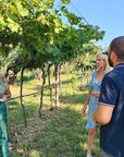 Vineyard tour and tasting of Garda Wines in Cavaion Veronese - Wine Tasting - Touraround