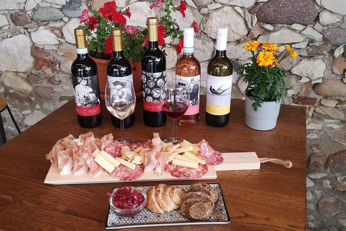 Vineyard tour and tasting of Garda Wines in Cavaion Veronese - Wine Tasting - Touraround