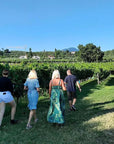 Vineyard tour and tasting of Garda Wines in Cavaion Veronese - Wine Tasting - Touraround